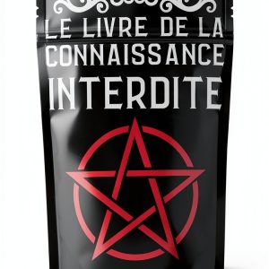 Wicca Witchcraft Guide Kindle French 115 Pages Spiritual Rituals-0
