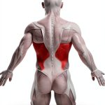 French Health and Wellness Guide for Kindle-0